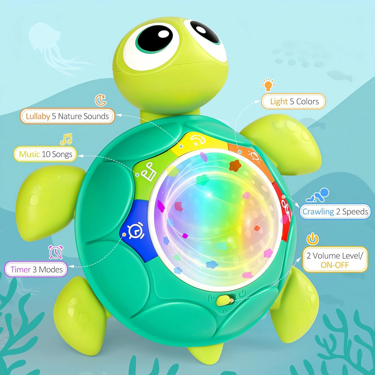 Turtle Projector™ - Podpora plazení - Želví Projektor